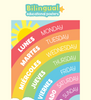 Bilingual Educational Posters